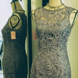 NWT Grey Lace Adrianna Papell short dress sz 4